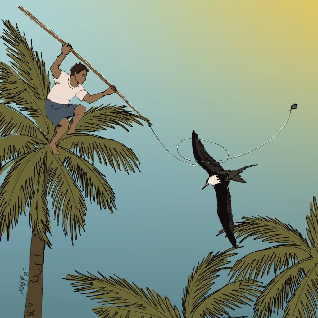 This artwork by fathimathmahy shows how the experts of Fuvahmulah caught frigate birds.