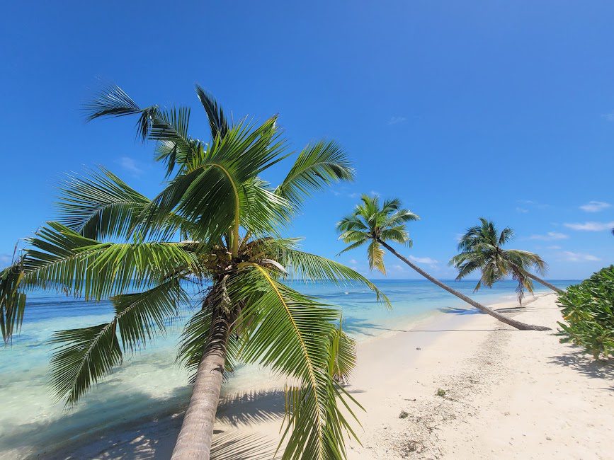 beach-Thoddoo-island