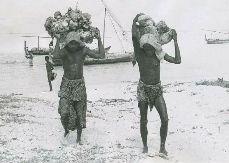 Collecting corals – a symbol of courageous living