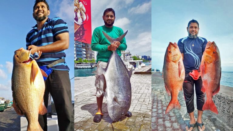 Niyaz – The Multi-Talented Fisherman