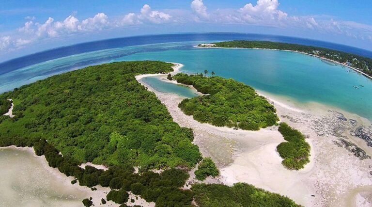 Mangrove melody of Baarah island