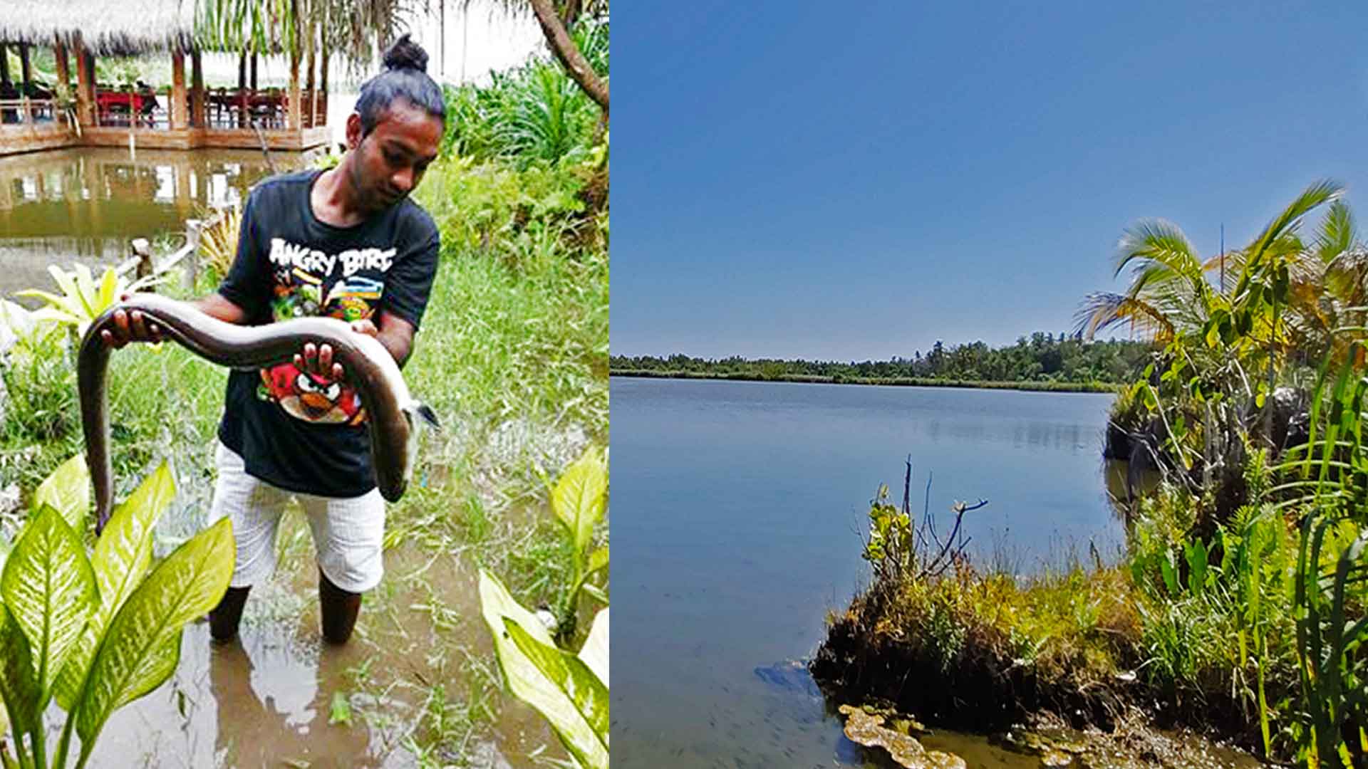 A man hold a freshwater eel