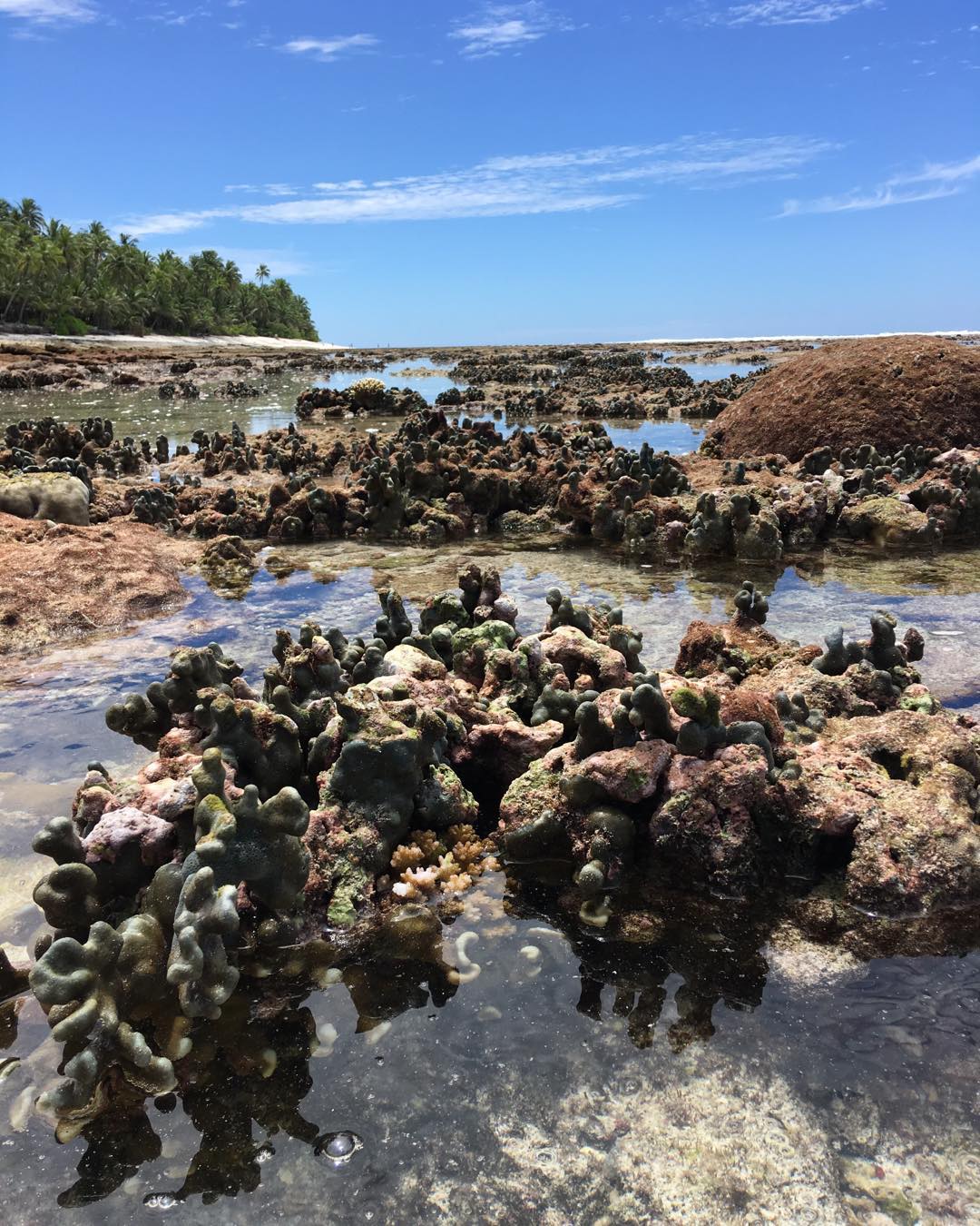 Tide pools