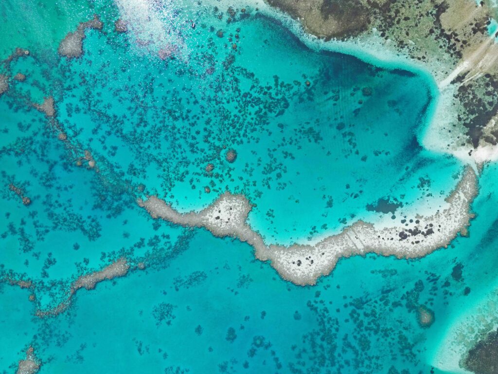 coral reefs of Laam Atoll