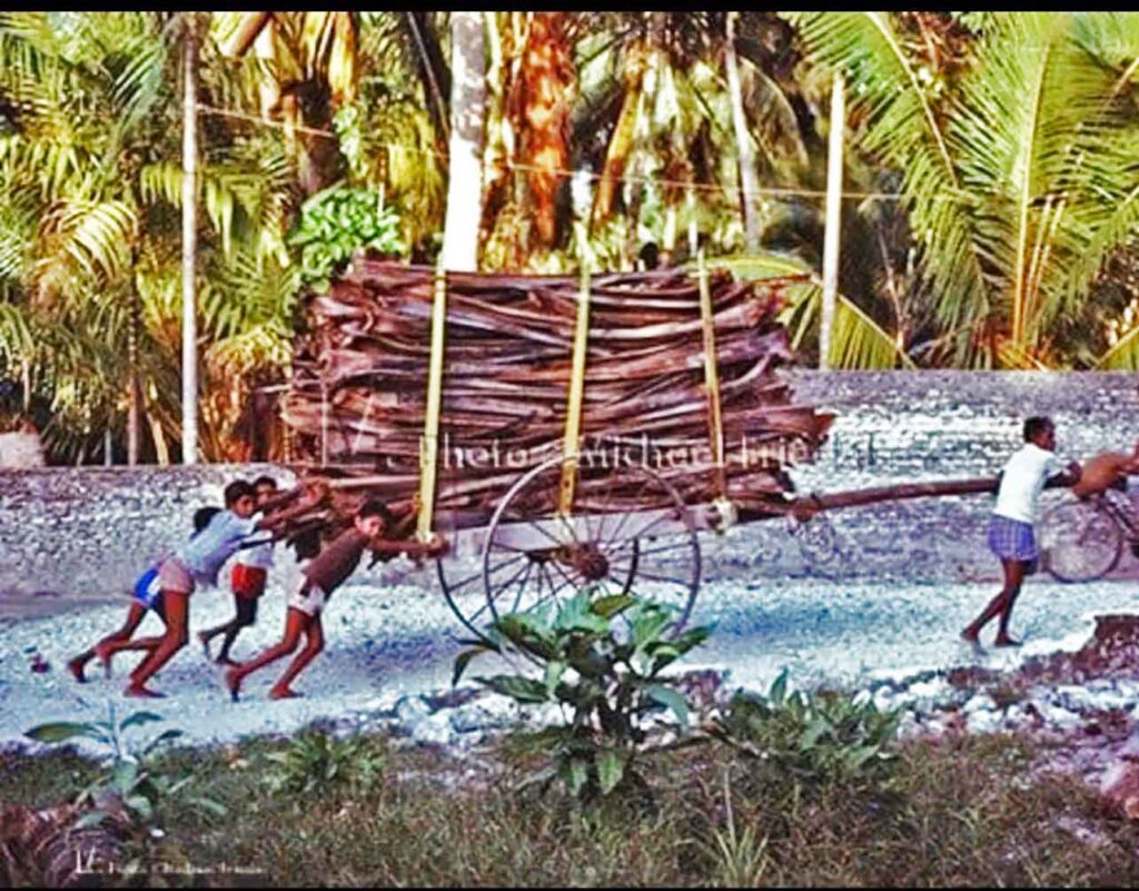 Maldivian traditional wagon