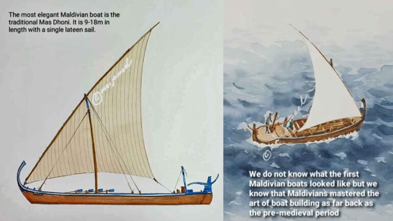 The Dhoni: A Boat Shaped by the Ocean