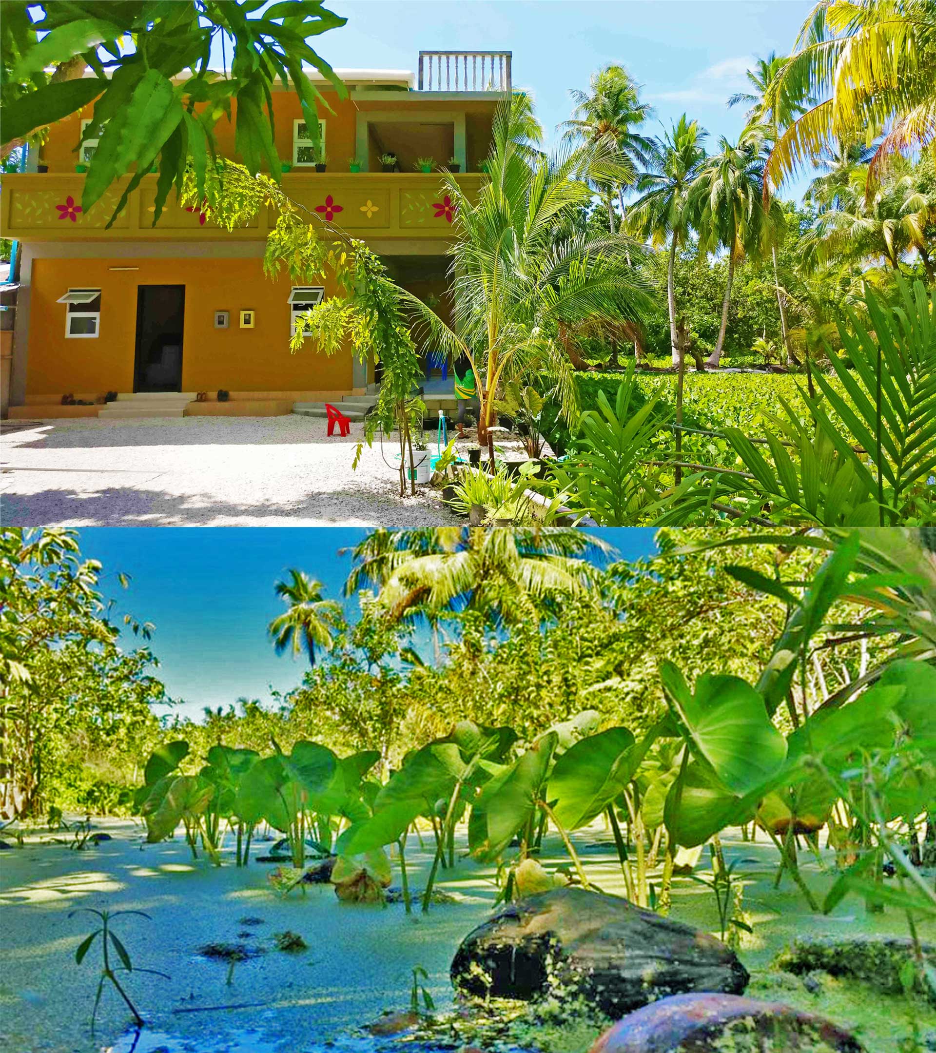 A captivating backyard of a house in Fuvahmulah