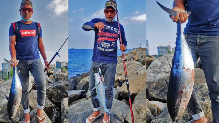 Does Luck Matter? Traditional Angling Wisdom from the Maldives Islands