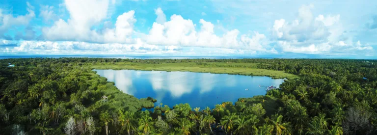 The Living Bio-Shields — A Journey Through Maldivian Mangroves