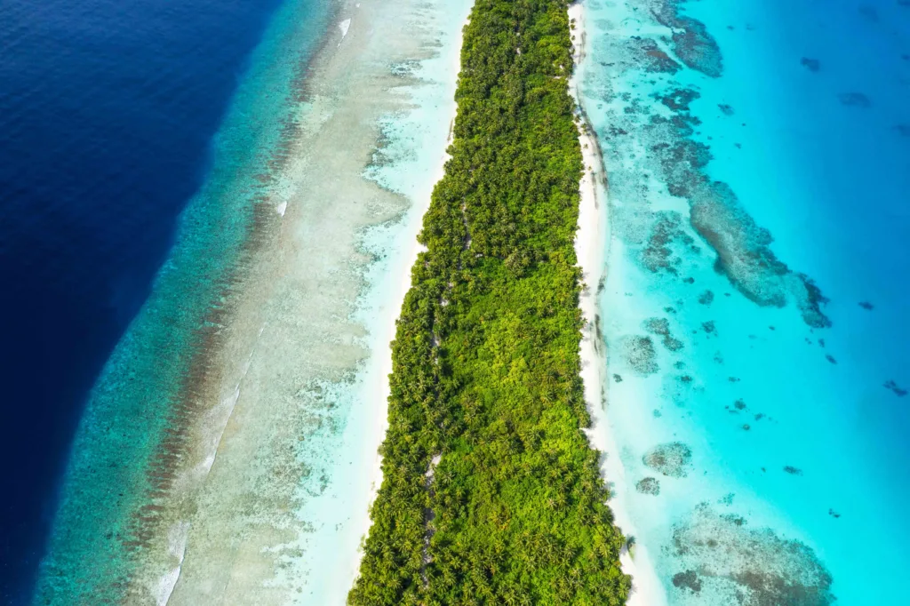 Aerial view of lush Dhigurah Island surrounded by turquoise waters in the Maldives.