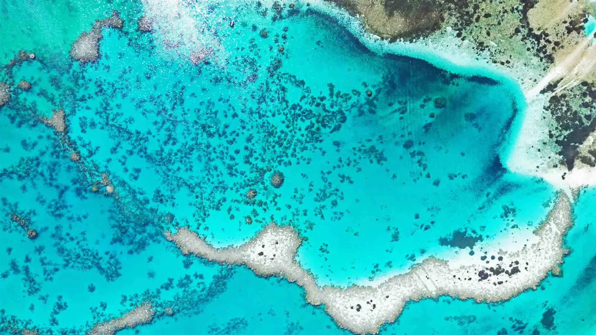 Aerial view of the coral reefs, reef flats and turquoise lagoon of Laamu Atoll, Maldives, revealing the intricate marine ecosystem that forms and protects the islands.