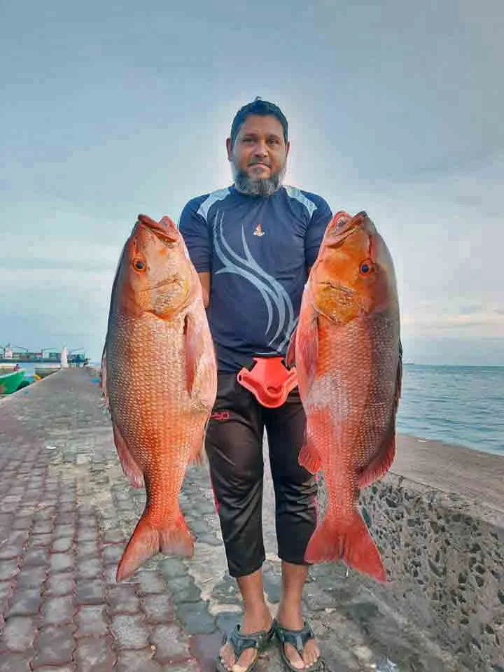 Niyaz standing on a concrete harbor pier in the Maldives holding a freshly caught two-spot red snapper with boats anchored in the background.