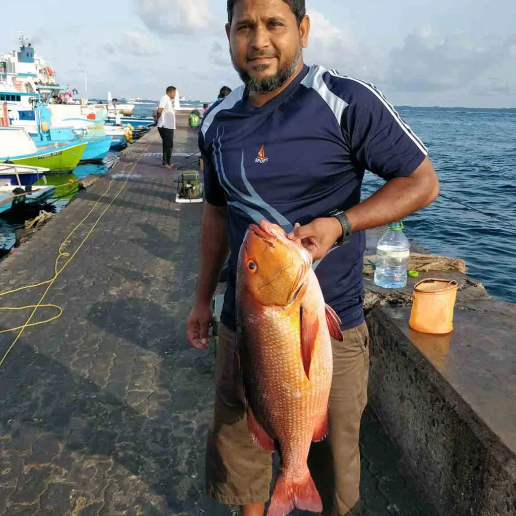 Niyaz holding a vibrant red two-spot snapper caught by shore fishing,